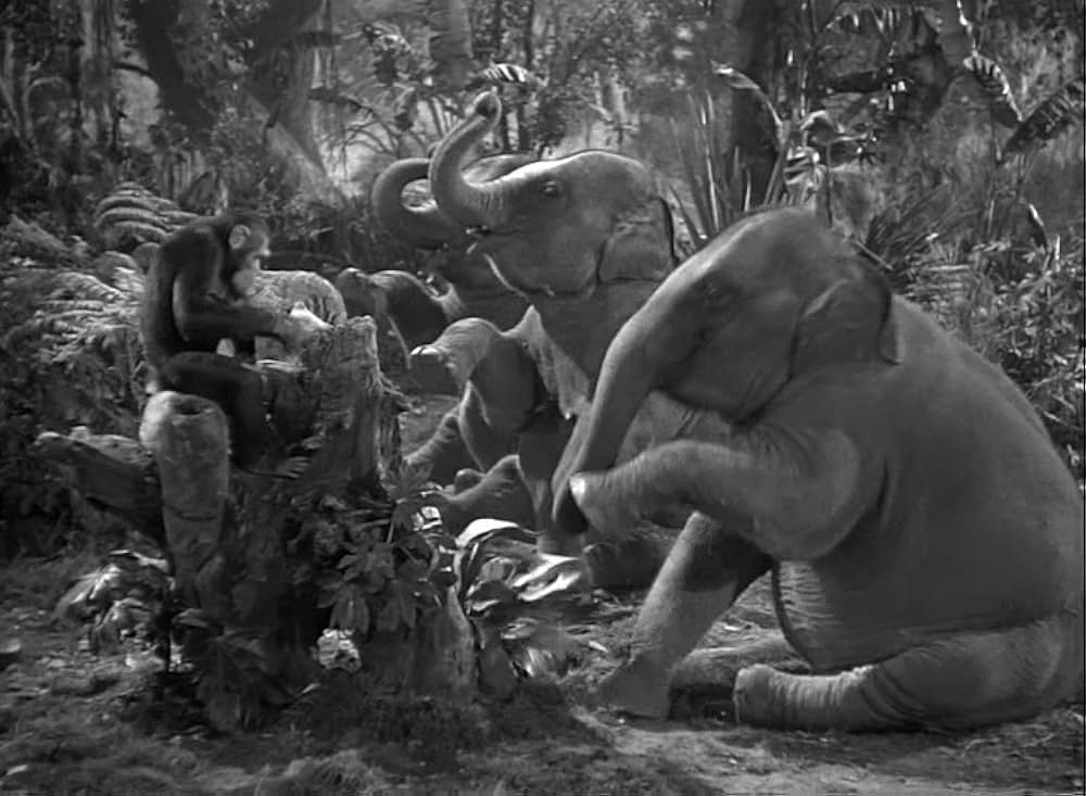 ターザン紐育へ行くの画像