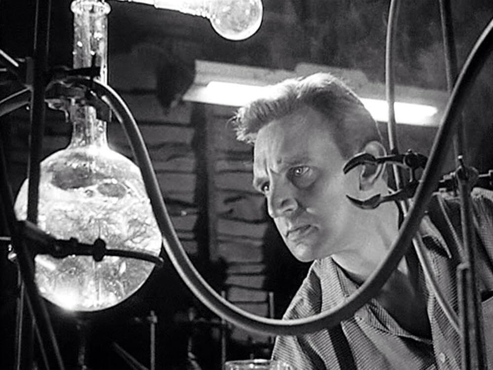 複製人間の恋の画像