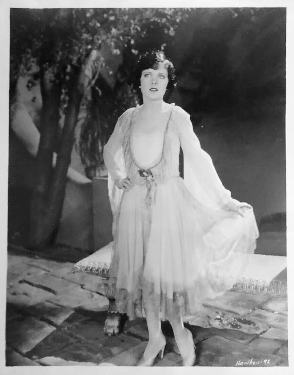 栄光への道の写真