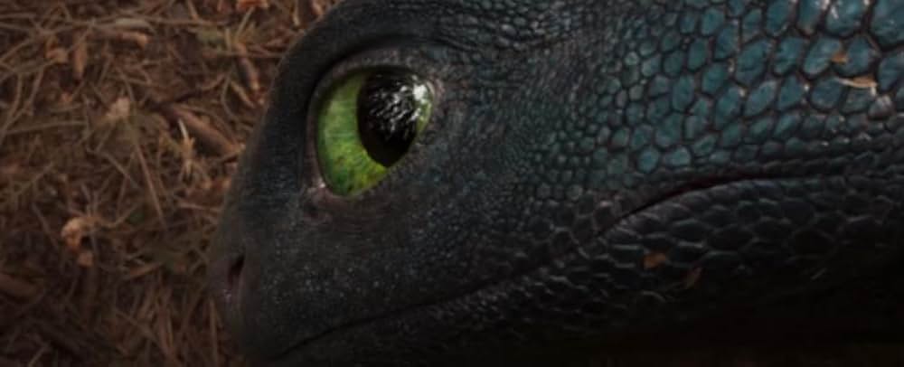 ヒックとドラゴンの画像