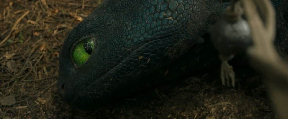 ヒックとドラゴンの画像