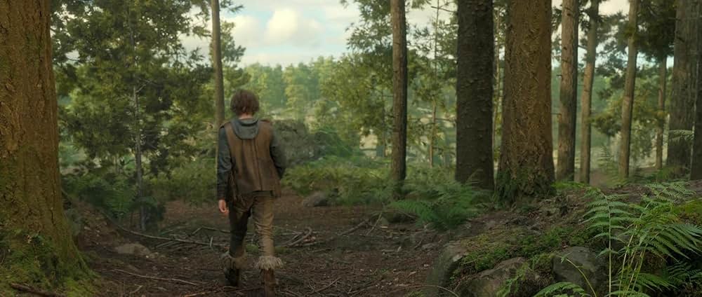 ヒックとドラゴンの画像