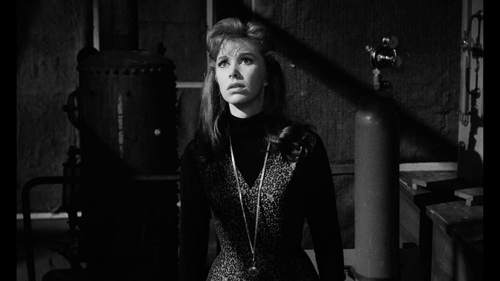 マインド・ベンダースの画像