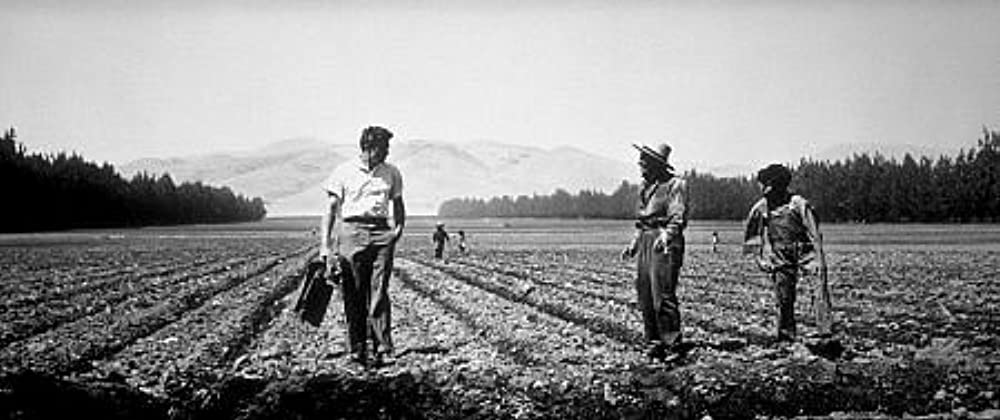 「エデンの東」ジェームズ・ディーンの画像