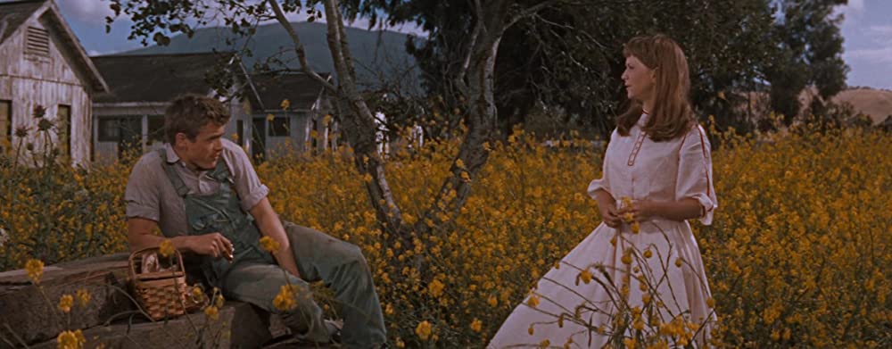 「エデンの東」ジェームズ・ディーン & ジュリー・ハリスの画像