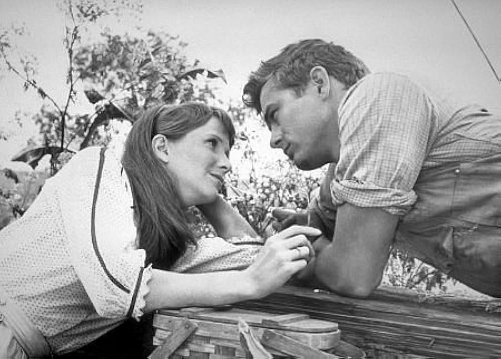 「エデンの東」の画像