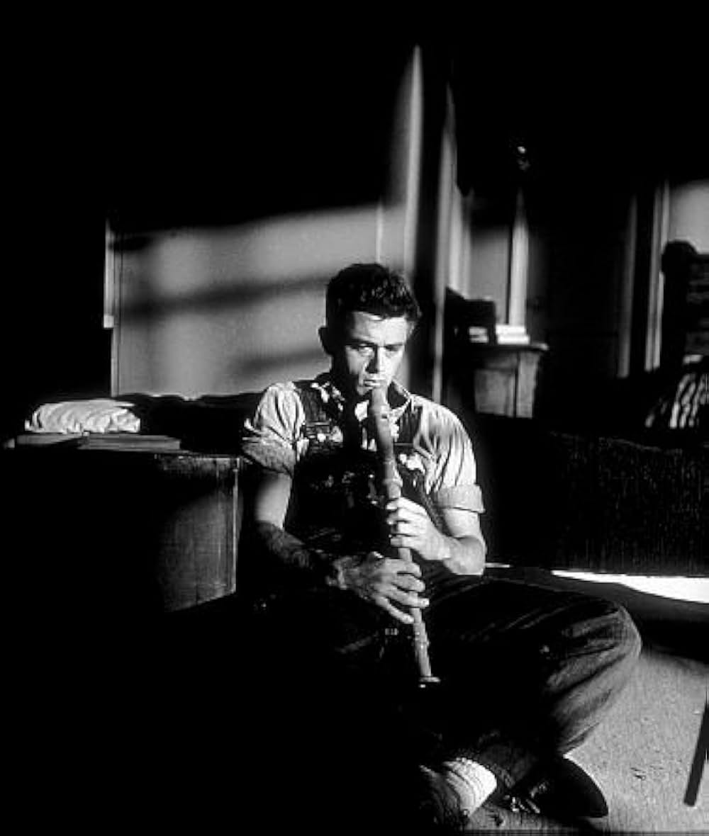 「エデンの東」の画像