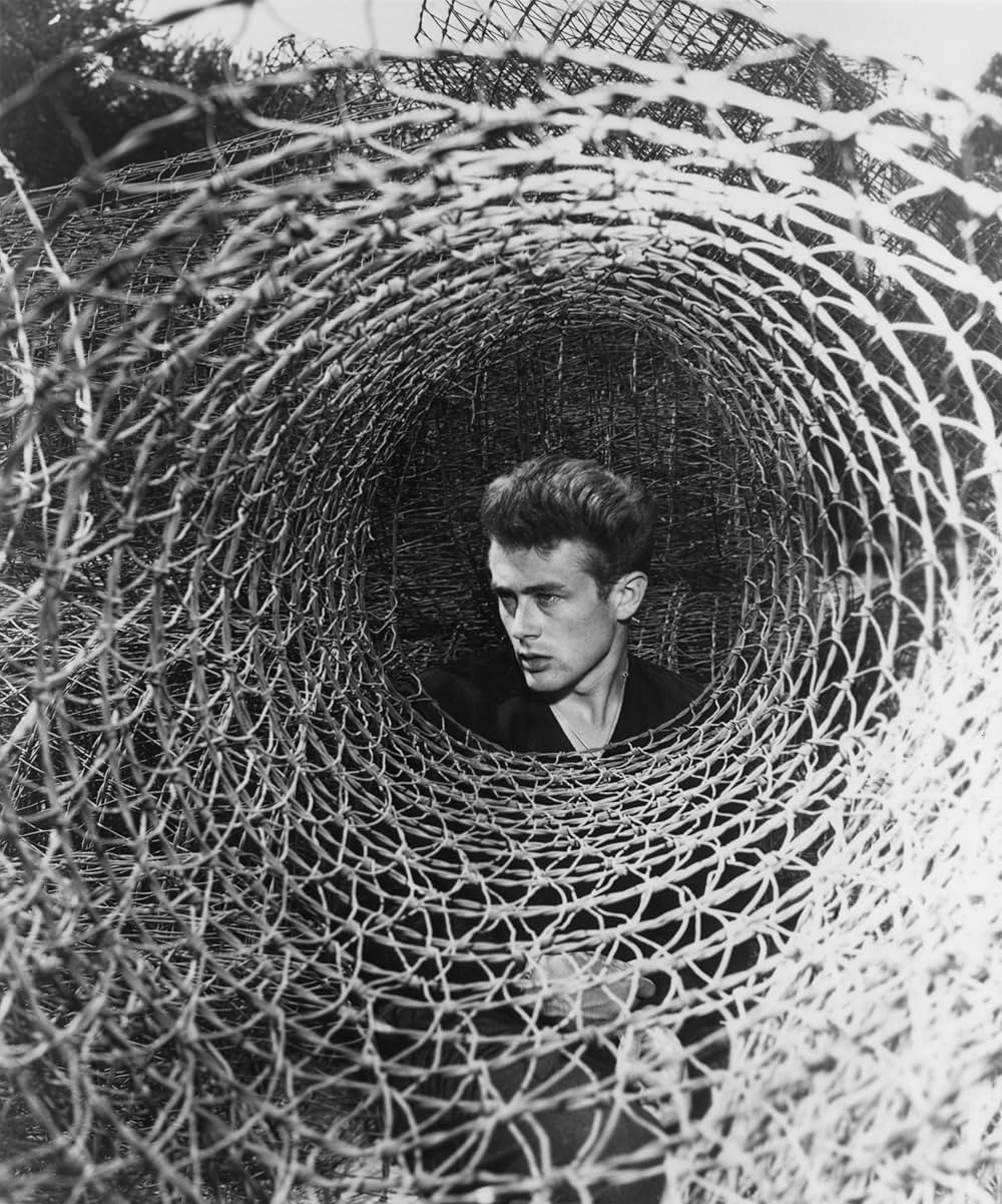 「エデンの東」の画像