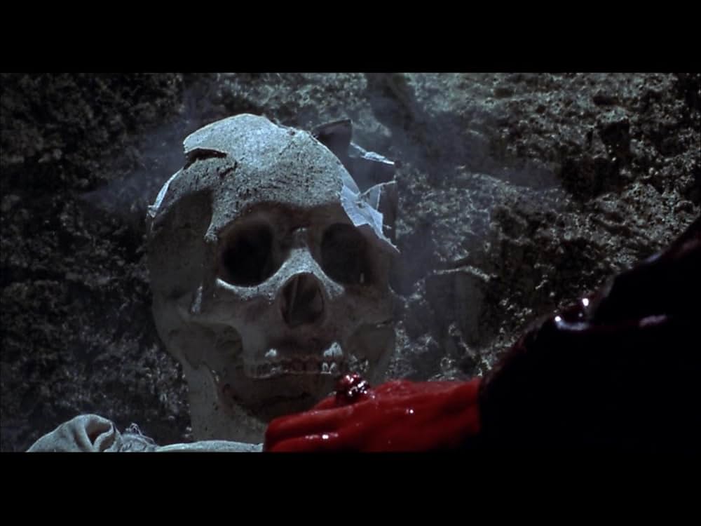 フレッシュ・フォー・ザ・ビーストの画像