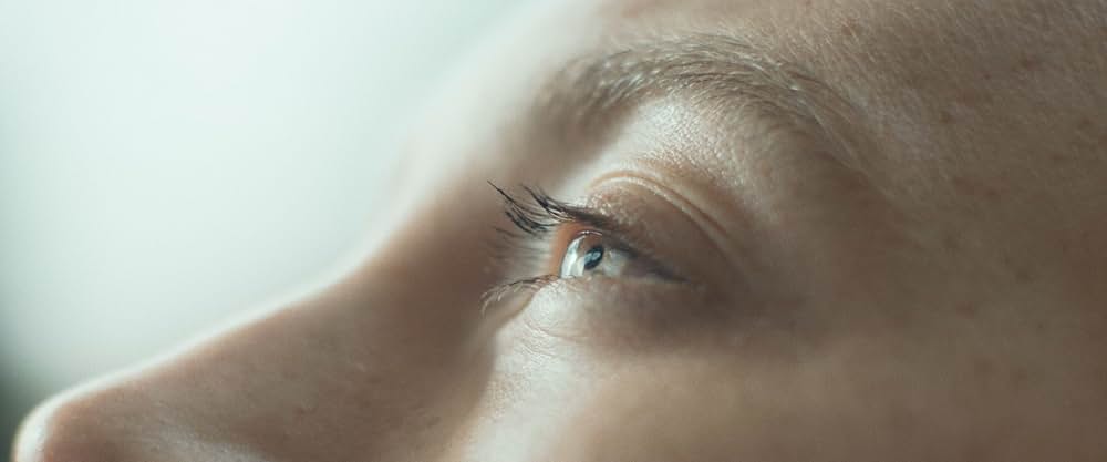 おくびょう鳥が歌うほうへの画像