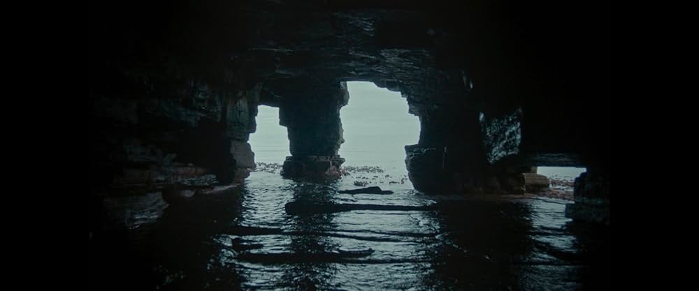 おくびょう鳥が歌うほうへの画像