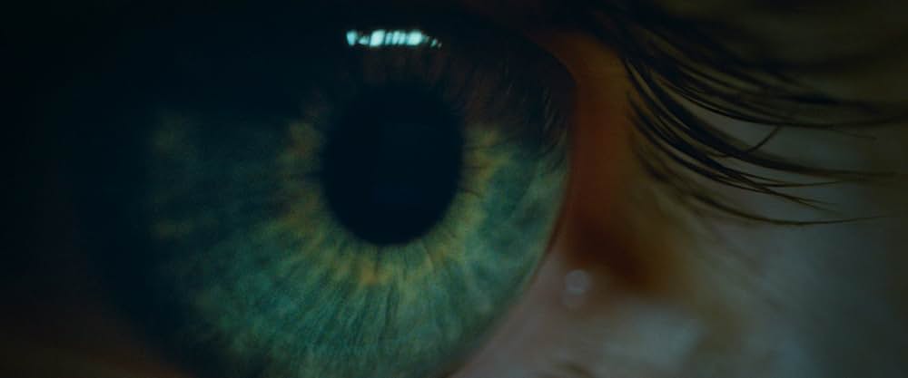 おくびょう鳥が歌うほうへの画像