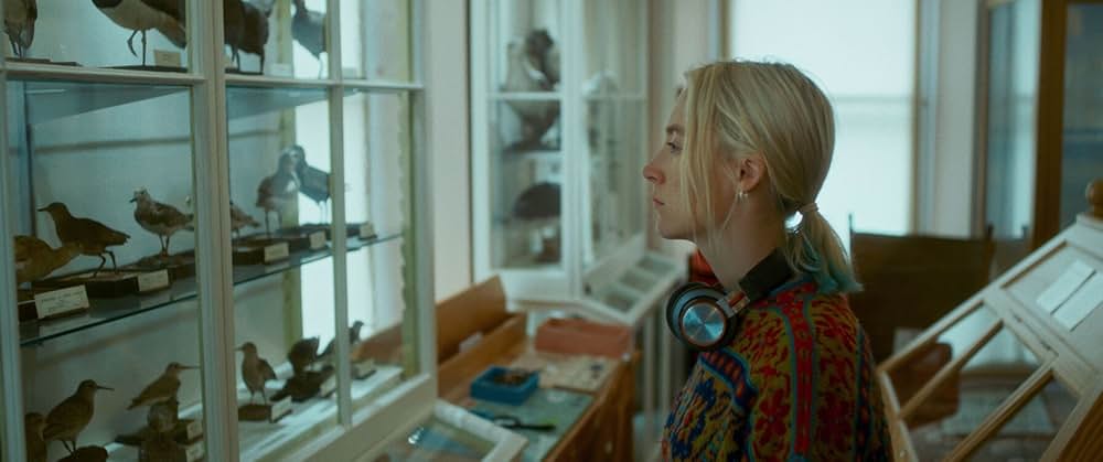 おくびょう鳥が歌うほうへの画像