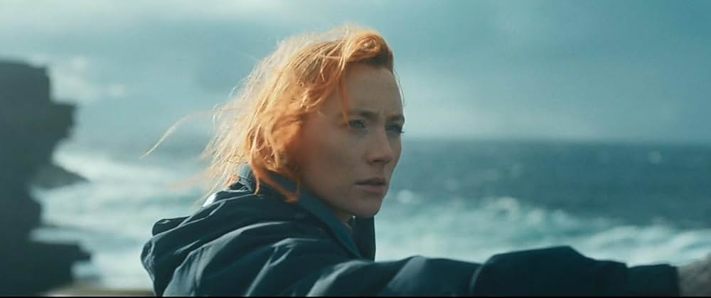 おくびょう鳥が歌うほうへの画像