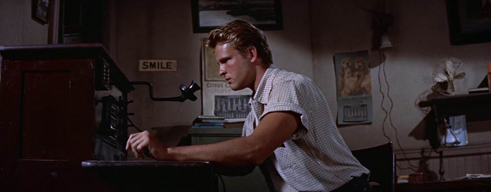 日本人の勲章の画像