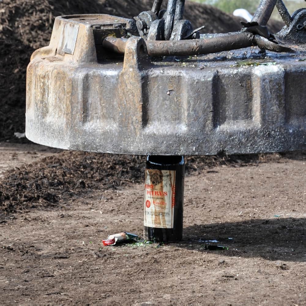 すっぱいブドウの画像