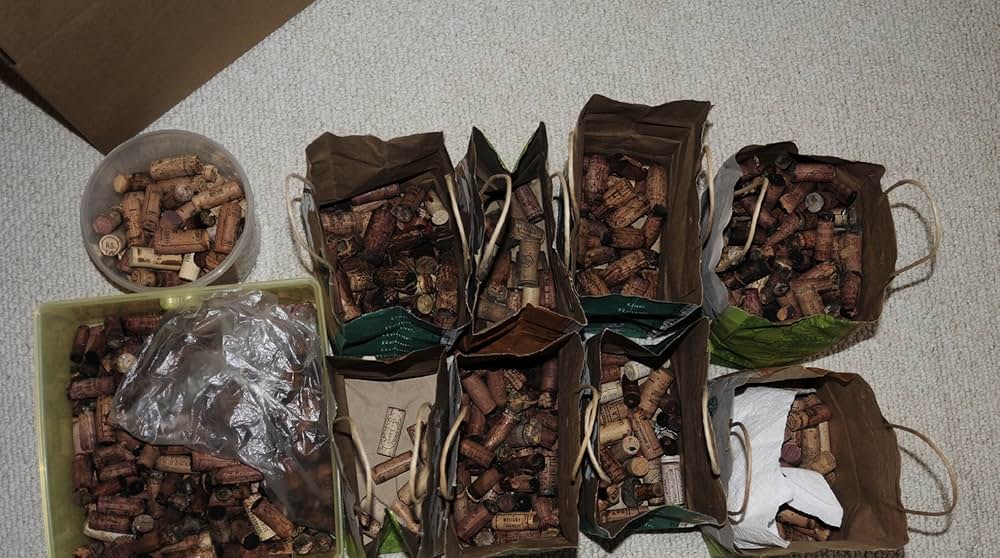 すっぱいブドウの画像