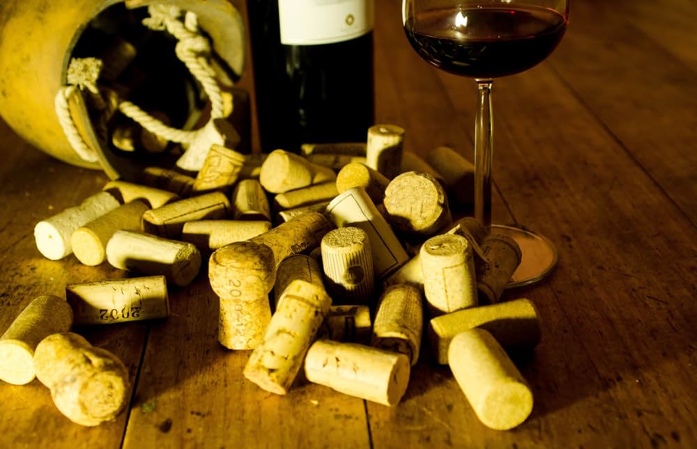 すっぱいブドウの画像