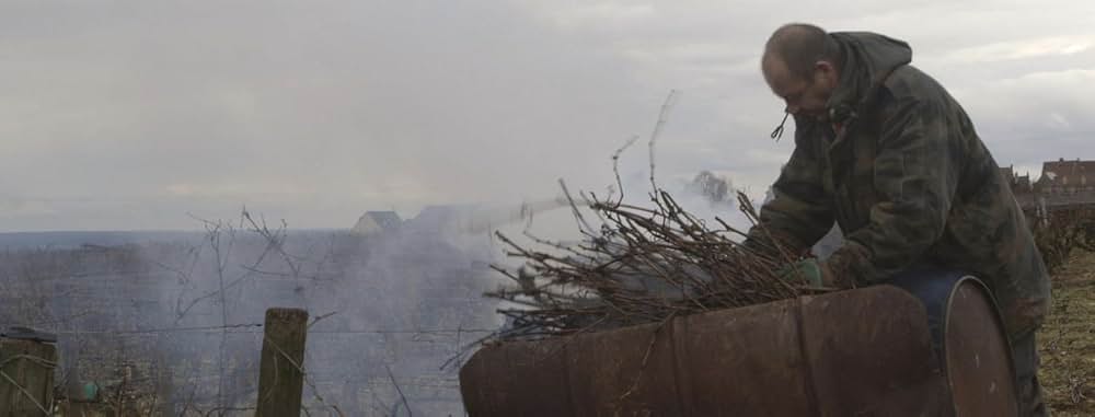 すっぱいブドウの画像