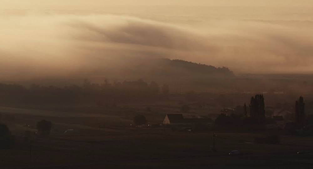すっぱいブドウの画像