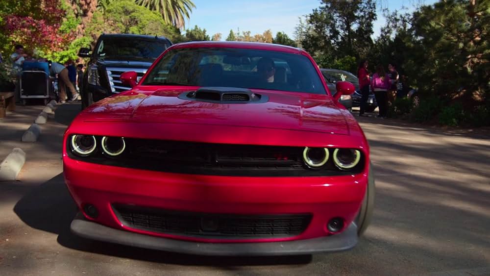 マジックに魅せられての画像