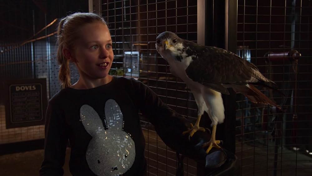 マジックに魅せられての画像