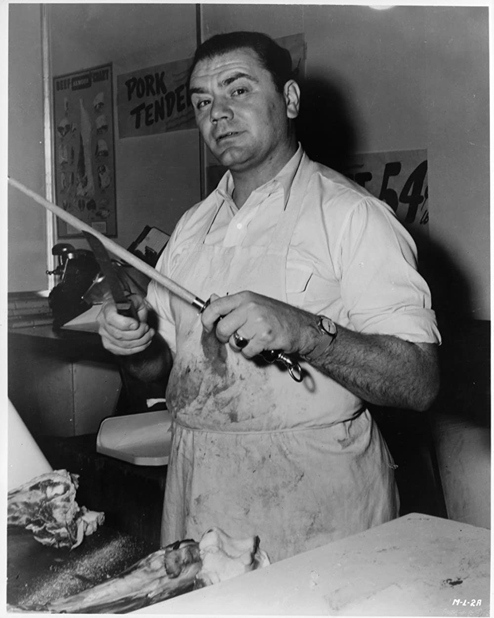 マーティの画像