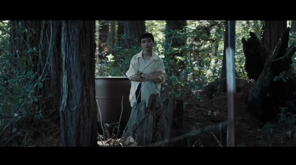 Gone in the Night（原題）の画像