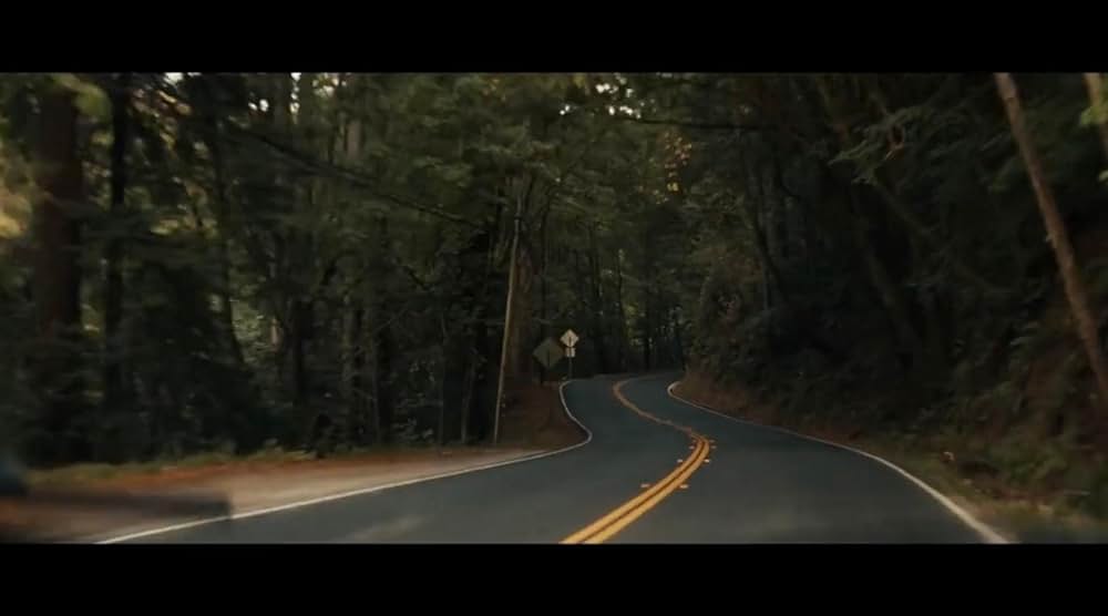 Gone in the Night（原題）の画像