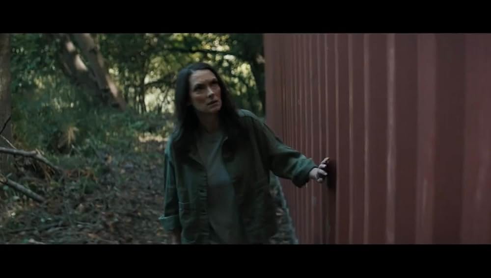 Gone in the Night（原題）の画像