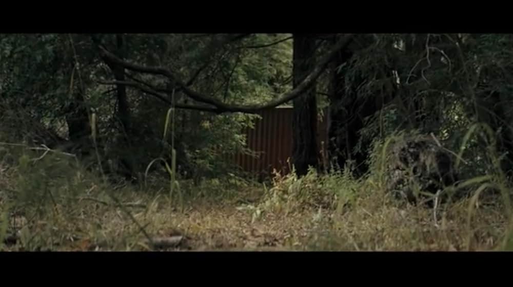 Gone in the Night（原題）の画像