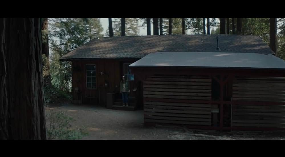 Gone in the Night（原題）の写真