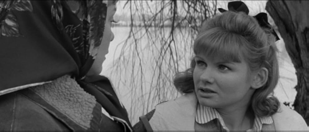 恐怖の牝獣の画像