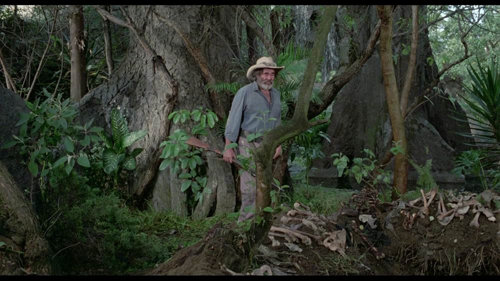 アマゾンの秘宝の画像