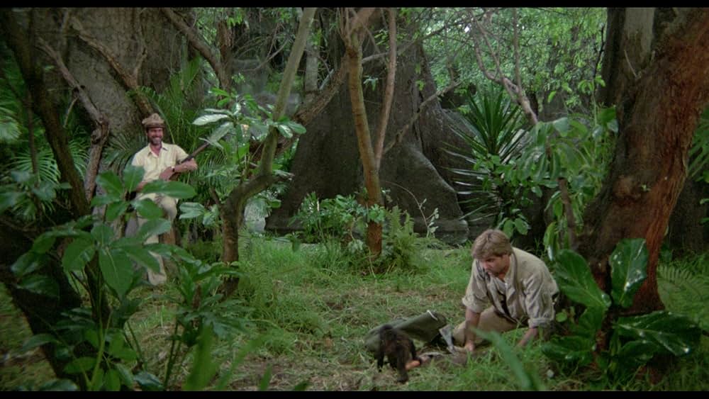 アマゾンの秘宝の画像