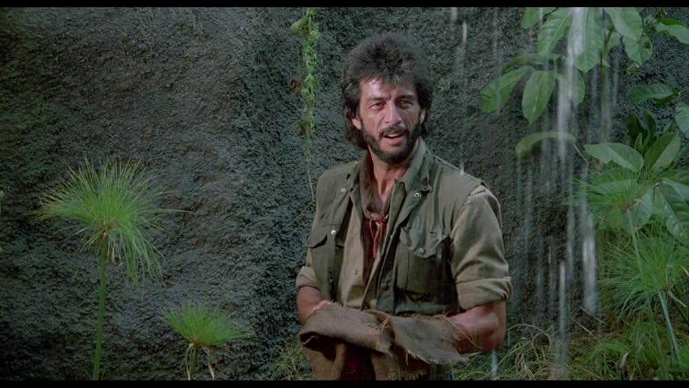 アマゾンの秘宝の画像