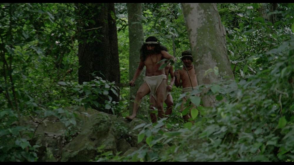 アマゾンの秘宝の画像