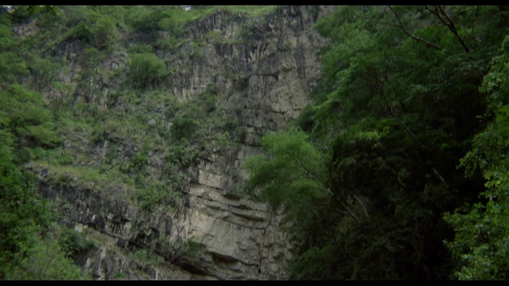 アマゾンの秘宝の画像