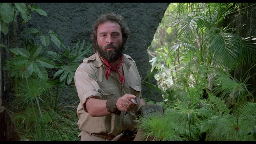 アマゾンの秘宝の画像