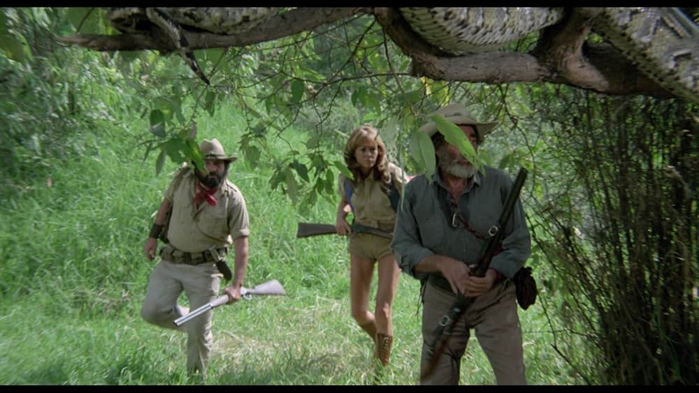 アマゾンの秘宝の画像