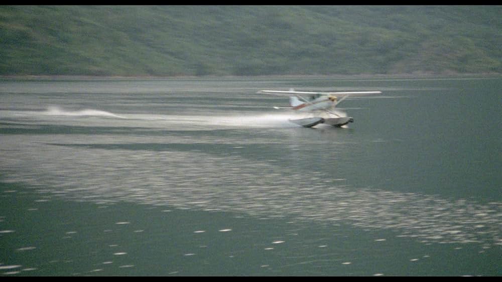 アマゾンの秘宝の画像