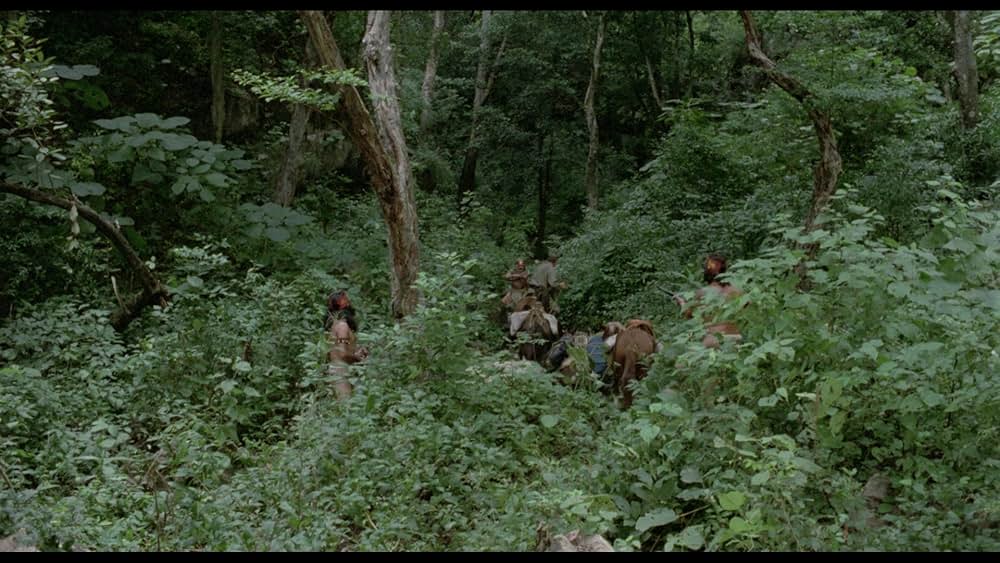 アマゾンの秘宝の画像