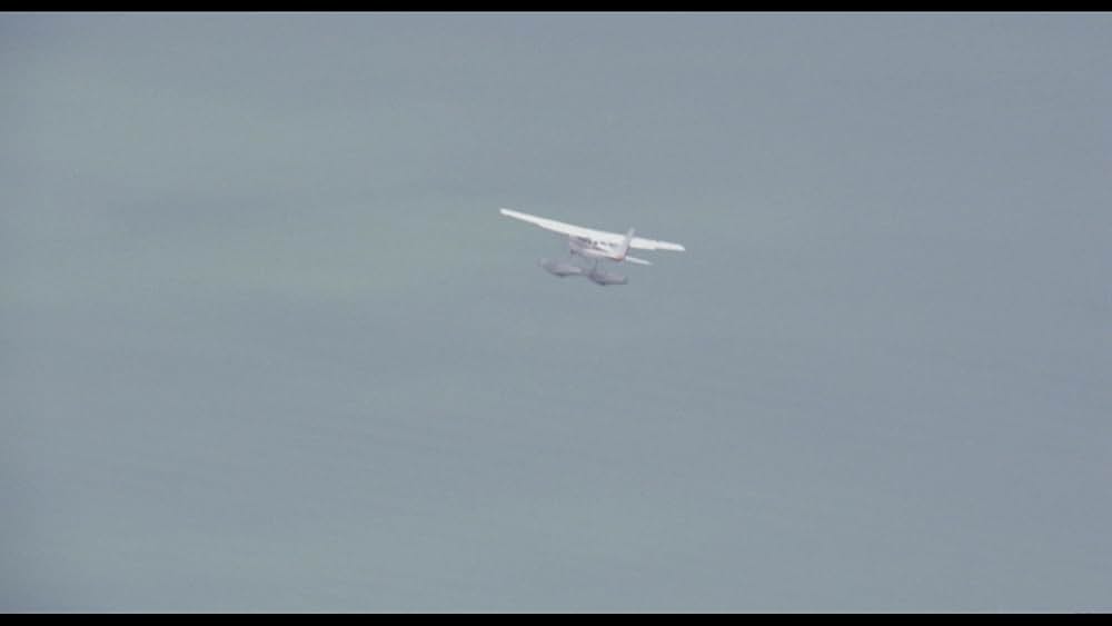 アマゾンの秘宝の画像