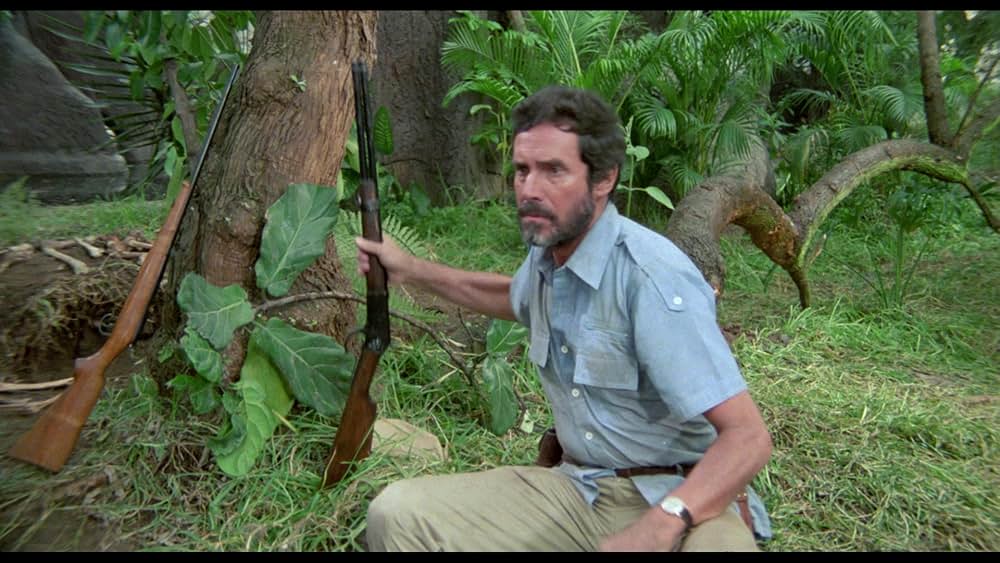 アマゾンの秘宝の画像