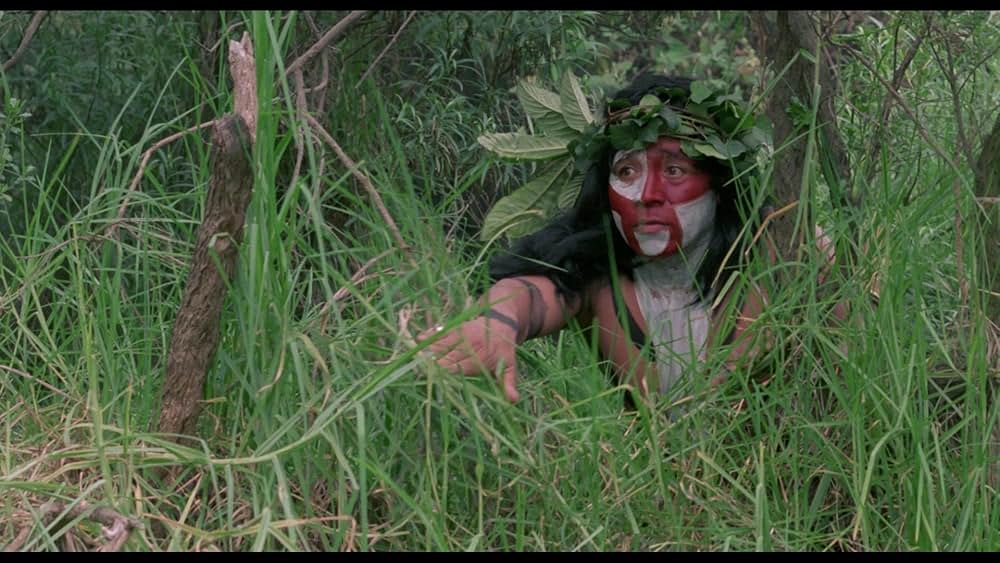 アマゾンの秘宝の画像