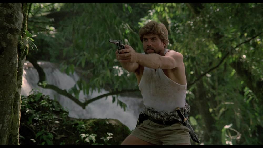 アマゾンの秘宝の画像