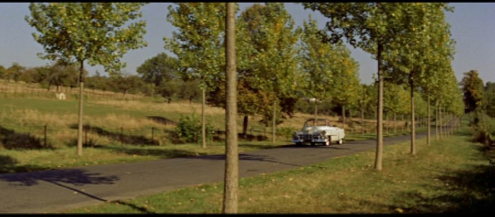 この神聖なお転婆娘の画像