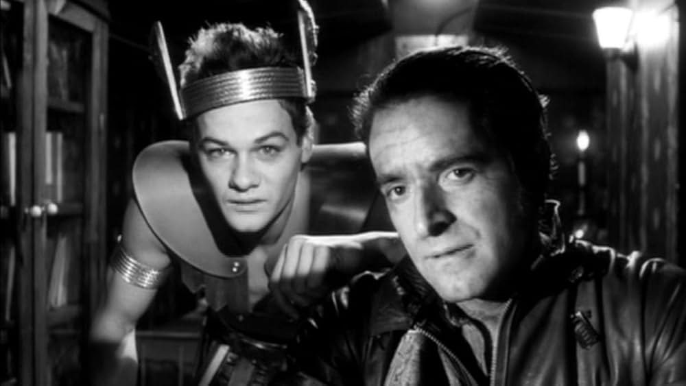 The American Astronaut（原題）の写真