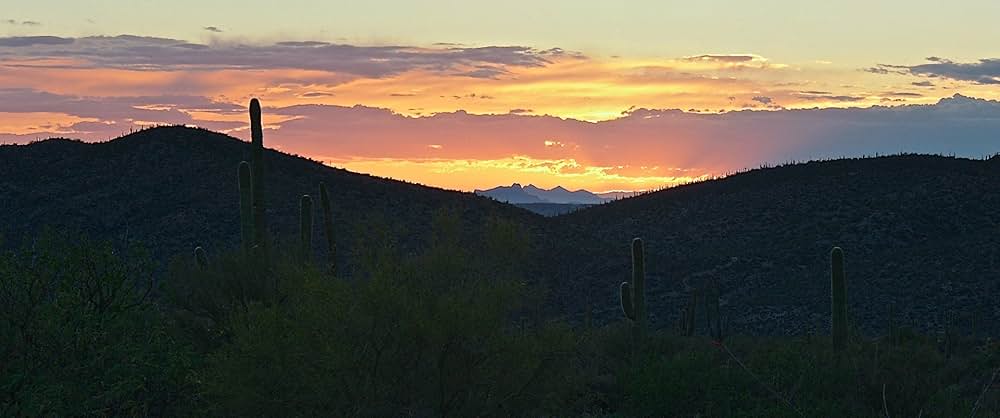 デンジャラス・チェイサーの画像