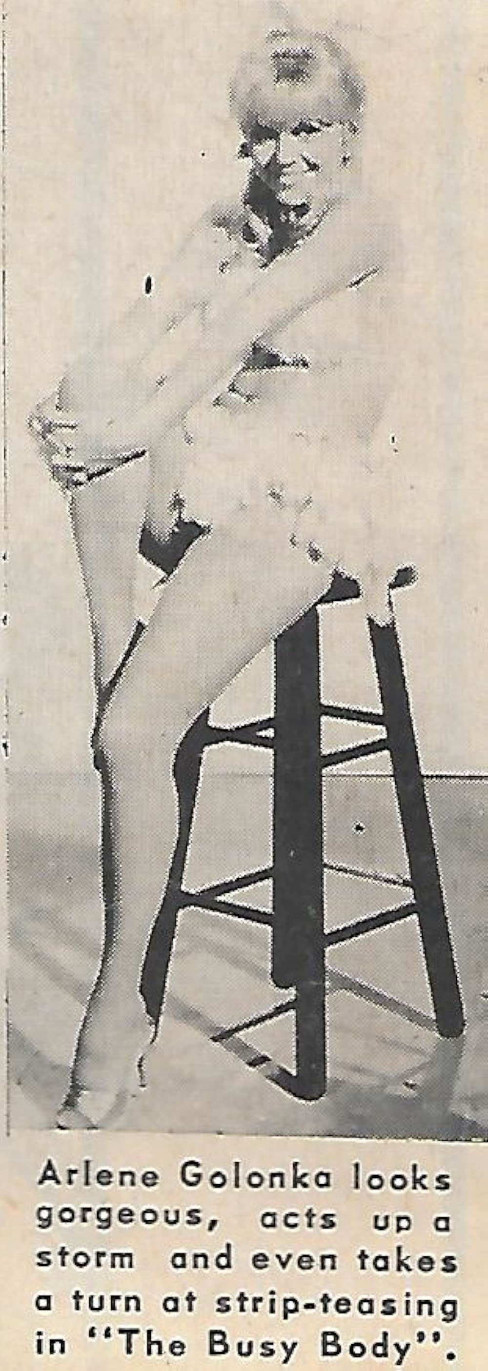 間抜けなマフィアの画像